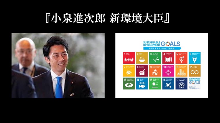 SDGs12